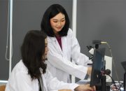 Siap Jadi Ahli Data di Masa Depan? Ini 10 Peluang Karier Anti-Mainstream untuk Lulusan Data Science Universitas Nusa Mandiri!