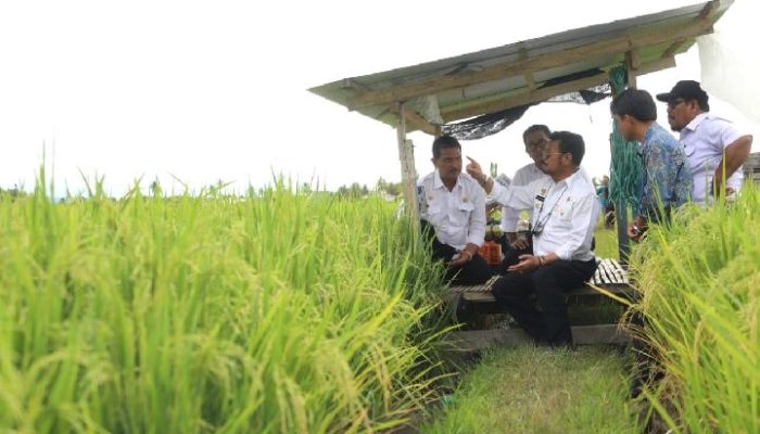 DPRD Jabar Dukung Penambahan Lahan Pertanian Berkelanjutan di Karawang