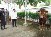 Pemkab Karawang Salurkan 25 Hewan Kurban untuk Cegah Stunting