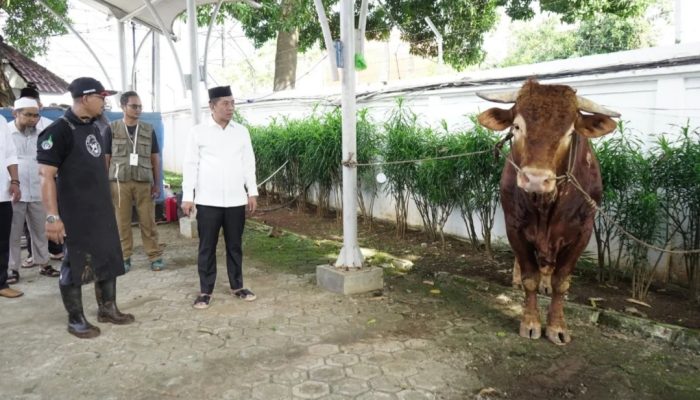 Pemkab Karawang Salurkan 25 Hewan Kurban untuk Cegah Stunting