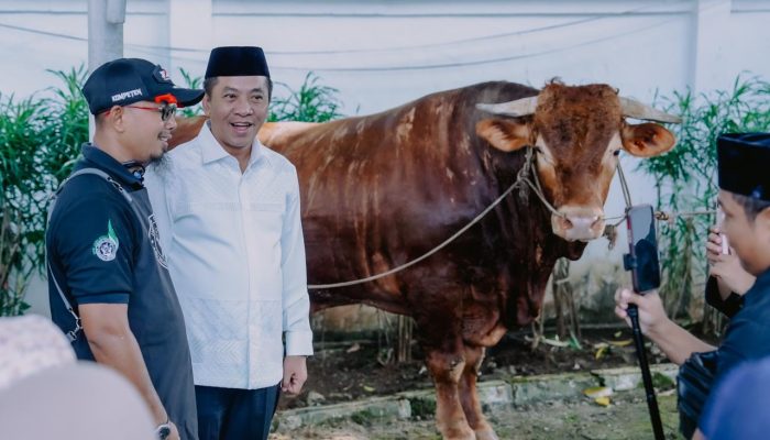 Sapi Kurban Bantuan Presiden Dibagikan ke Warga Pesisir Karawang