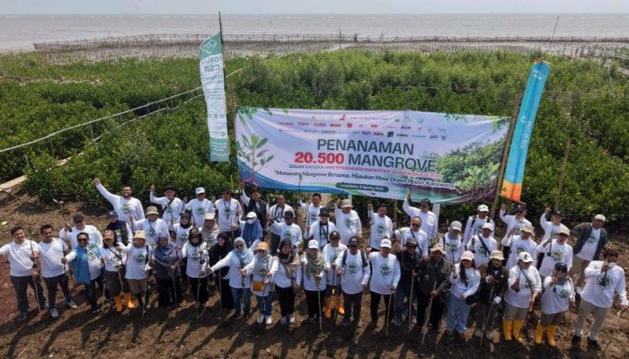 20.500 Bibit Mangrove Ditanam untuk Pulihkan Pesisir Karawang