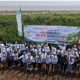 Mangrove