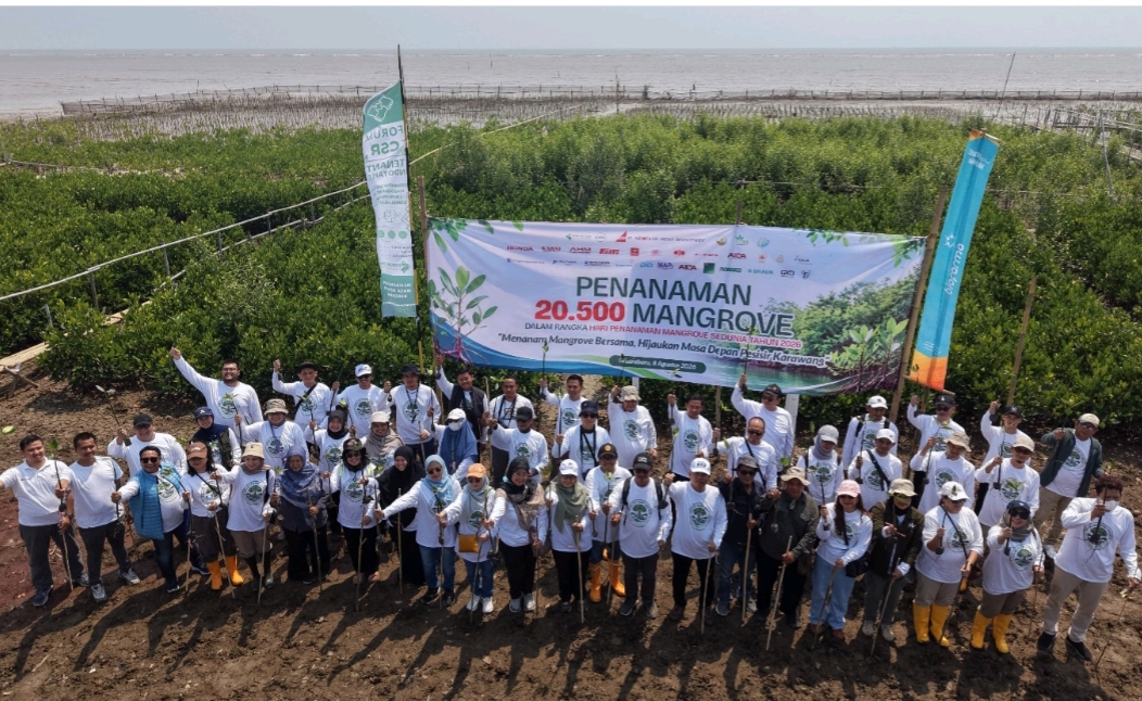 Mangrove