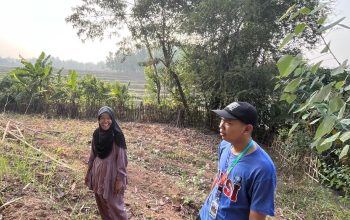 Berkebun Bersama Warga, Mahasiswa BSI Explore Pelajari Ketahanan Pangan