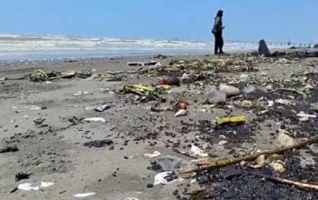 Limbah Hitam Diduga Oil Spill Cemari Pantai Pisangan Karawang