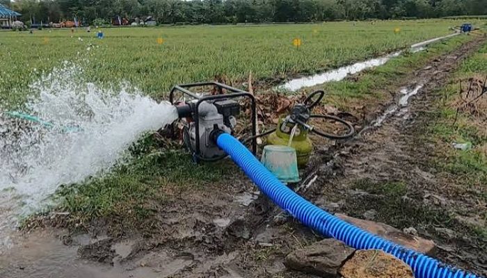 Pemkab Karawang Salurkan Pompa Air Atasi Kekeringan Sawah