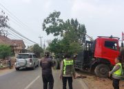 Truk Trailer Tabrak Pohon di Jalan Raya Badami